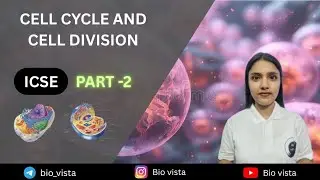 Cell Cycle & Cell Division | Meiosis & Chromosomes Explained | ICSE Class 10 Biology | Bio Vista