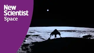 Blue Ghost's lunar lander captures incredible sunset on the moon