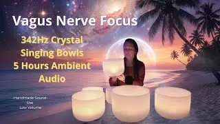 342Hz Crystal Singing Bowls | Vagus Nerve Focus Soundscape | 5 Hours Ambient Audio