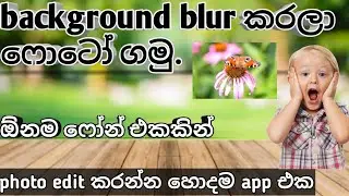 Best photo edit apps sinhala 2020 | sinhala tech videos | panda tech පැන්ඩා ටෙක් | background blur|