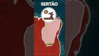 Por que o pa&iacute;s que tem a FLORESTA AMAZ&Ocirc;NICA 🍃 tamb&eacute;m enfrenta SECAS? 🫏