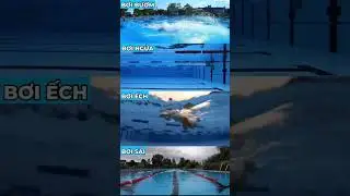 4 kiểu bơi tham khảo cho người mới học bơi