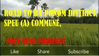 Road to Ba Phnom district, Speu (A)commune, Prey Veng province #Shortsvideo#Shorts#Superstars