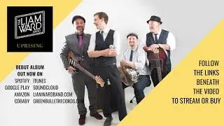 The Liam Ward Band - The Insidious Kind