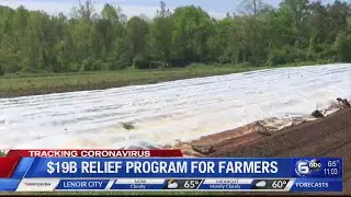 President Trump announces $19B relief program for farmers