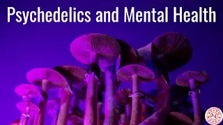 Psychedelics and Mental Health