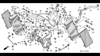 Замена антифриза в мотоцикле Honda Varadero