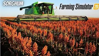 Harvesting Sorghum in farming simulator 20 | New crop in fs 20 #newcrops #fs20