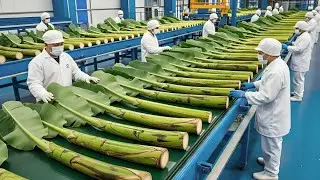 This Banana Stem Factory Uses INSANE Technology &mdash; Full Tour!