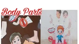 Human Body parts #project | body parts of human model