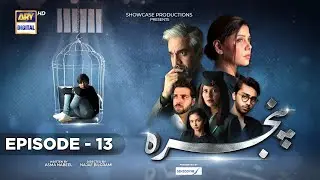 Pinjra Episode 13 -Presented by Sensodyne -22nd December 2022 (Subtitles English)- ARY Digital Drama