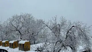 Snowfall in Malamjabba Swat #travel #snowfall #swat #nature 