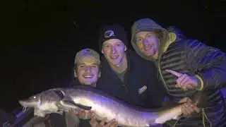 Bemidji State Men's Hockey 2023-24 Senior Video