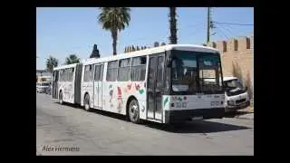 S T S  LES LEADEURS DU SAHEL