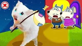 No No Hamster! Please Come Back Home 🐹 Funny Cartoon by Love Hamster