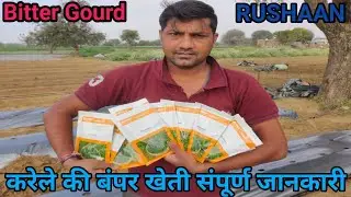 करेला लगाने की संपूर्ण विधि | Bitter gourd Variety RUSHAAN | @RAJESHZONE