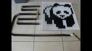 WWF Domino Panda Field