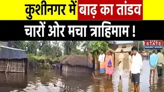 UP Flood Update: Kushinagar में बाढ़-बारिश से कोहराम, लोग परेशान ! | Heavy Rain | Latest News