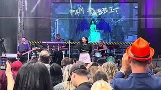 KVIFF 2025 Pam Rabbit - NPC