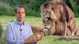 Perch&eacute; c'&egrave; l'omosessualit&agrave; tra gli animali?