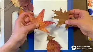 Draw and Paint Autumn Leaves in Watercolor (Online Art Workshop)