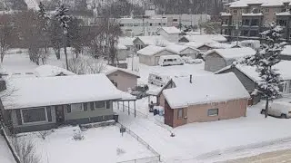 winter wonderland
