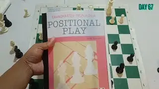 I Trained Like Saitama&hellip; But in Chess (Day 67)