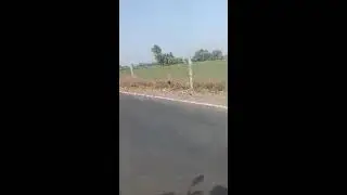 કાનજી ગુજરીયા લાઇવ છે!