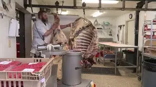 Old Salt Co-op process deer meat to give back to the community