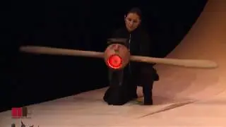Teatro de  Marionetas do Porto LIÇÕES DE VOO