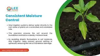 Enhancing Structural Stability How Drip Irrigation Protects Your Foundation