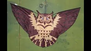 Aldi / Crane Kite - Owl Kite