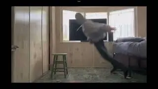 Life on expert difficulty but he keeps on slipping on the banana peel