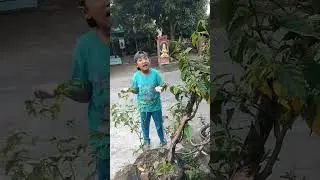 ucup pingsan lihat kakak #comedy #funny #humor #comedia #memes #comedyvideos #shorts