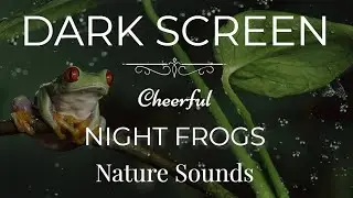 Tree Frog Noises at Night | Dark Screen 10 Hours