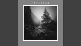 The Forest Remains