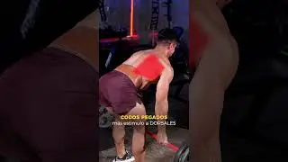 DESARROLLA ESPALDA | C&oacute;mo hacer crecer mi espalda.