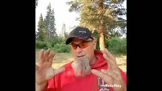 Video 3. ET's, inner dimensional beings,  and the distortion of it all