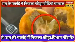 Ramu tere pakode में निकल रहे कीड़े?