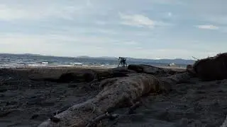 Mount Douglas park beach - March 12