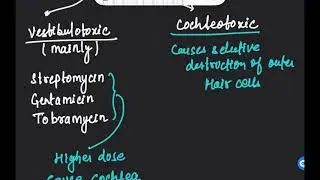 Ototoxic Drugs Classification | ototoxic drugs | ototoxic drugs ent 