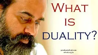 What is duality? || Acharya Prashant, with youth (2014)