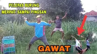serunya joki pelepas merpati balap bikin jantungan 4 Des 12 2022