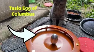 Tesla's Egg of Columbus Science Toy! 🟡 Gadgetify