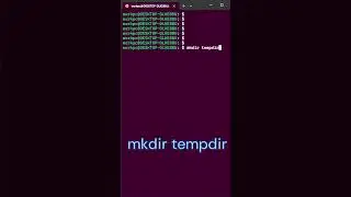 Day 2 | mkdir Linux Command #linux #linuxcommandline #linuxforbeginners #coding #shell #shorts