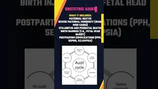 Obstetric Audit: Improving Maternal & Perinatal Outcomes Through Quality Care
