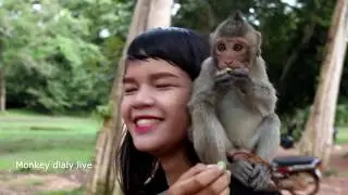 Amazing big monkey meeting tourists girl - Funny monkey video part 3