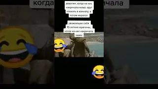 Жиза