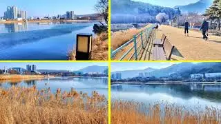 대구 수성못의 겨울 2026. 1. 13.