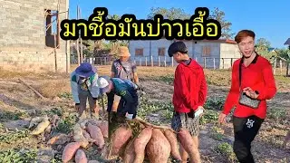 มาชื้อหัวมันบ่าวเอื้อ เมือให้บ่าวต๋อมทอดขาย